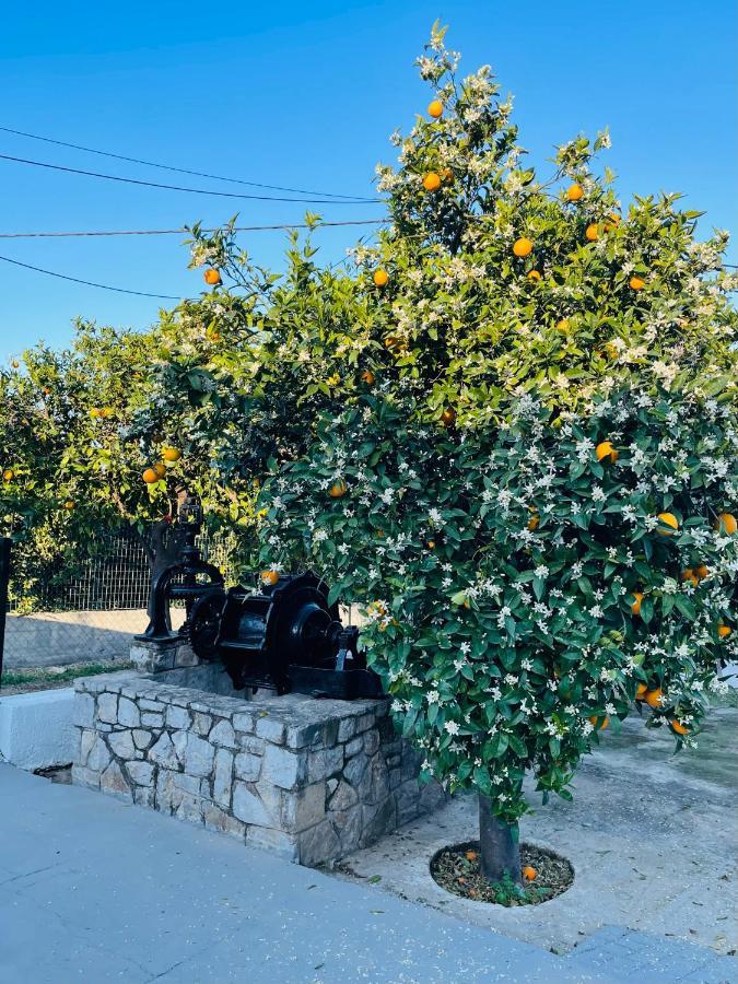 Вилла Citrus Garden Epidaurus Экстерьер фото