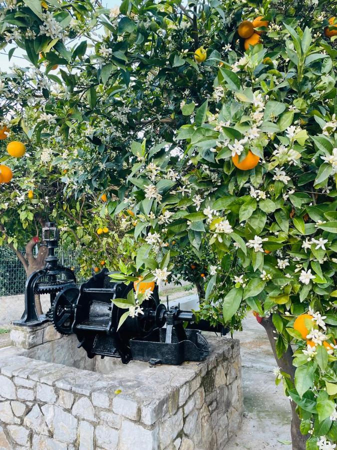 Вилла Citrus Garden Epidaurus Экстерьер фото
