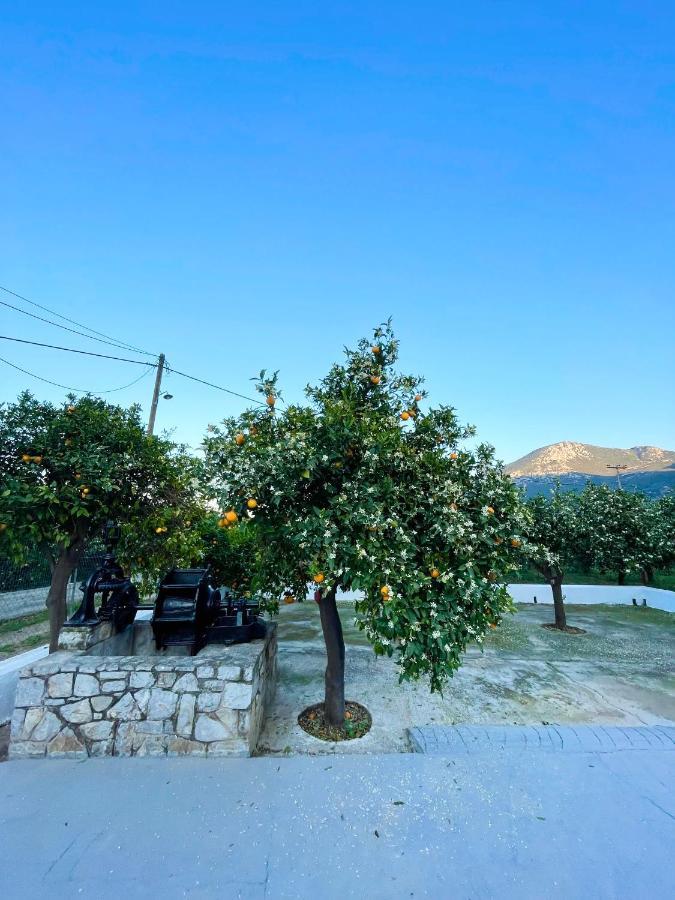 Вилла Citrus Garden Epidaurus Экстерьер фото