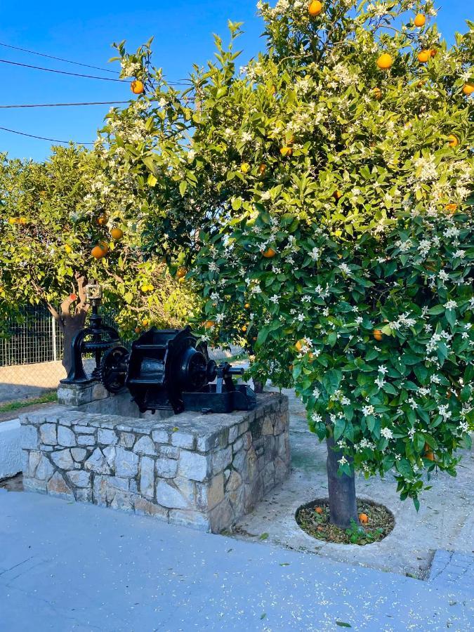 Вилла Citrus Garden Epidaurus Экстерьер фото