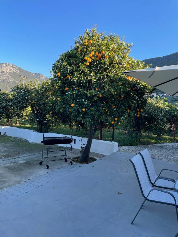 Вилла Citrus Garden Epidaurus Экстерьер фото