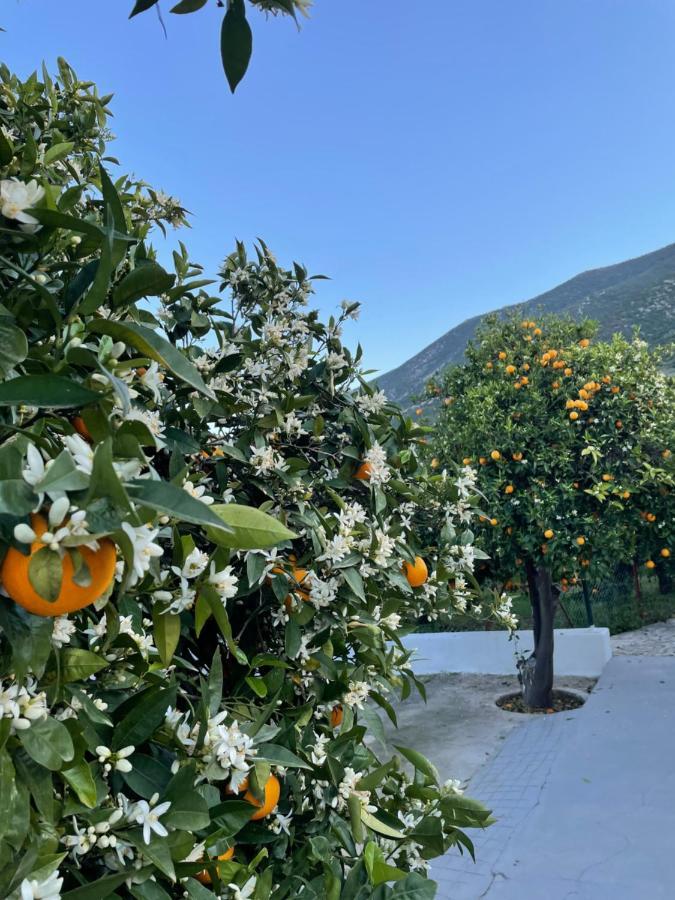 Вилла Citrus Garden Epidaurus Экстерьер фото