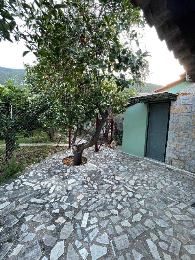 Вилла Citrus Garden Epidaurus Экстерьер фото