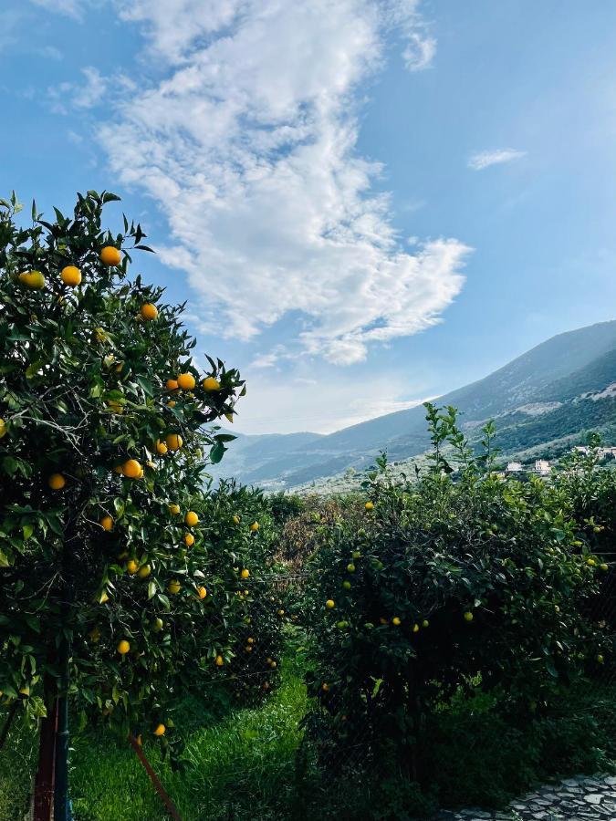Вилла Citrus Garden Epidaurus Экстерьер фото